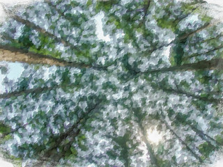 Impressionism Style Oil Painting; World Heritage Forest Kumano Kodo, Wakayama Prefecture, Japan, May, 2012