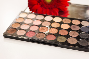 selective focus. professional palette set eye shadow. red gerbera. Copy space