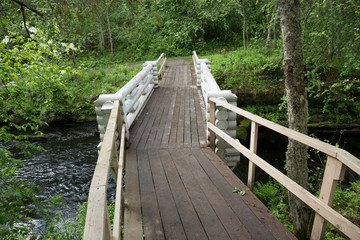 Fototapeta na wymiar Wooden bridge across the river in the forest