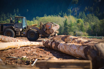 Heavy duty machine industrial forestry logger mountain landscape sunny day 