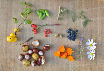 Autumn fruits, chestnuts and herbs