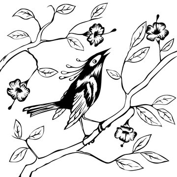 stylized black and white image of tropical colorful bird on tree branches with flowers