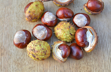 Horse chestnuts on wooden background