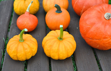 Pumpkins on brown wooden boards