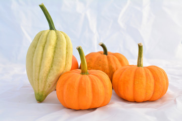 Group of pumpkins and squashes
