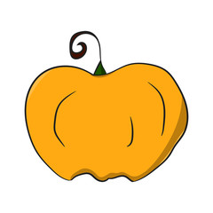 image of an orange pumpkin in a cartoon style. vector illustration. hand drawing