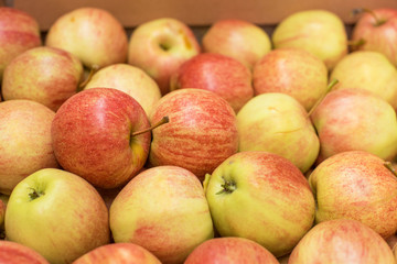 Beautiful appetizing fruit background with apples in a cardboard box