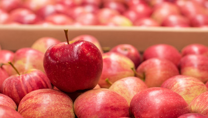 Beautiful appetizing fruit back ground with red apples in a cardboard box (exclusive, leader, purchasing, solution - concept)