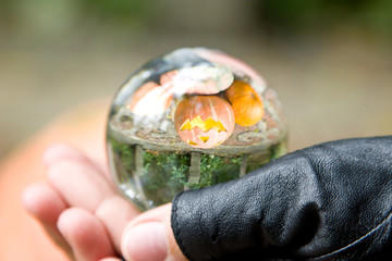 A crystal ball in the hands. The ball reflects Halloween Pumpkin.