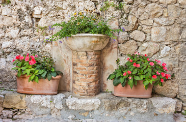 Fototapeta na wymiar Pots of flowers near a old wall