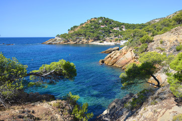 Fototapeta premium Calanques in the south of France