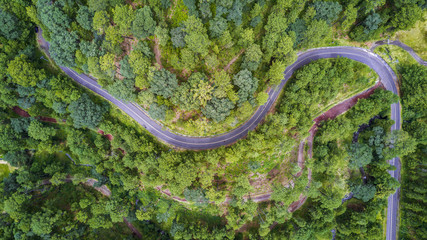 aerial of forest with road