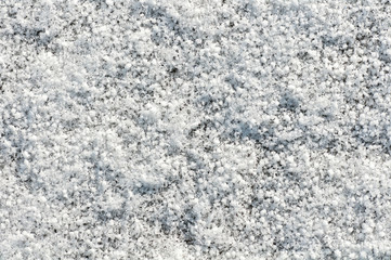 snowy background close-up