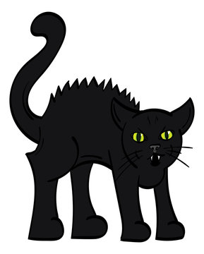Black Cat with an arched back hissing.