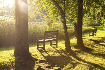 Park bench in the autumn evening park