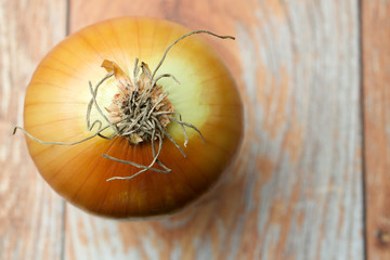 Onion on the wooden background