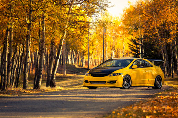 Yellow Car Yellow Leaves