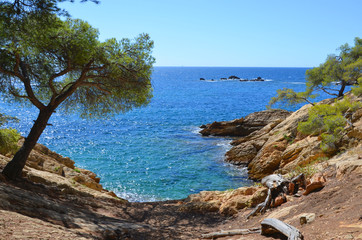 Calanques in the south of France