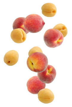 Falling Peaches and apricots, isolated on white background.