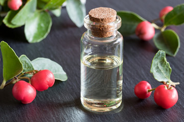 A bottle of wintergreen essential oil on a dark background