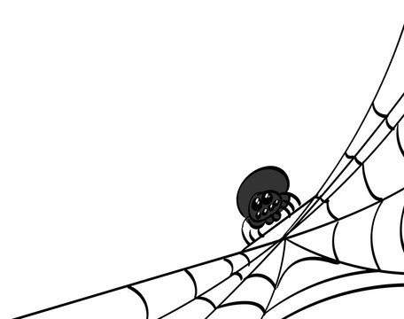 Spider web, bottom right corner.