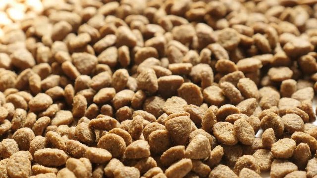 Pile of cat or dog pellet meal close-up