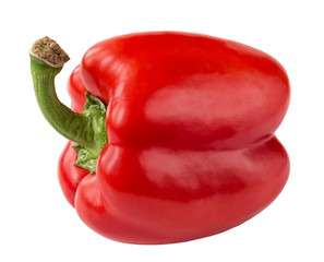 isolated sweet red bulgarian pepper on white background