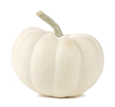 Single white mini pumpkin isolated on a white background