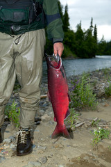 Naklejka premium Fisherman holding caught fish by river