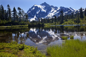 Fototapeta na wymiar Reflection Lake Mount Shuksan Washington State