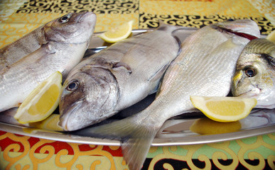 pescado fresco llamado dorada para asar