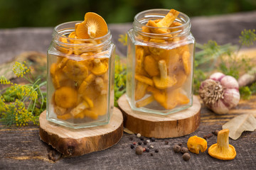 Mushrooms and spices, prepared for marinade in cans