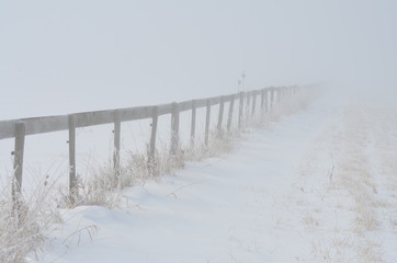 rural fence in fog