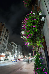 Close up of colourful flowers in Whitehall, central London at night against a de-focused street background