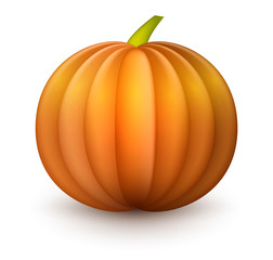 Orange halloween pumpkin on white.
