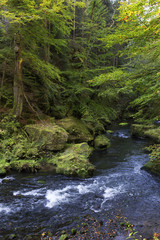 Obraz premium Wild autumn Landscape around the Creek Kamenice in the Czech Switzerland with Sandstone Boulders, Czech Republic