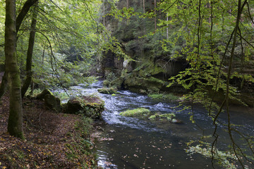 Fototapeta na wymiar Wild autumn Landscape around the Creek Kamenice in the Czech Switzerland with Sandstone Boulders, Czech Republic