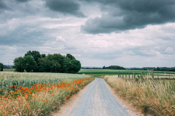 rural path in the countryside