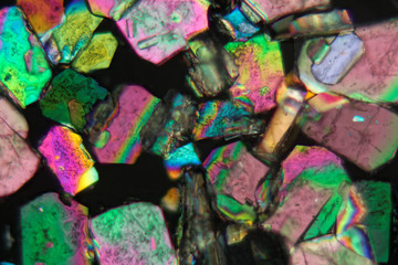 Crystals of sodium borate under the microscope