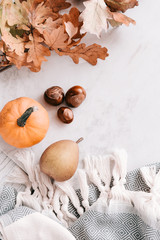 Fototapeta na wymiar Fall season flatlay in pastel colors for fashion and beauty, lifestyle bloggers, announcements, ads. Wool scarf with fringe, dry leaves, acorns, little pumpkin, pear. Copy space 