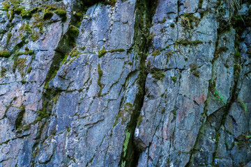 Buchberger Leite-20    Hintergrund Textur Felswand in der Buchberger Leite bei Freyung im Bayerischen Wald