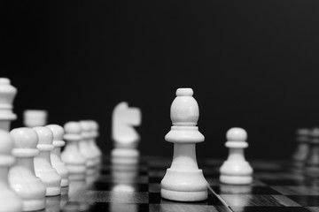 Scacchi fotografati su una scacchiera