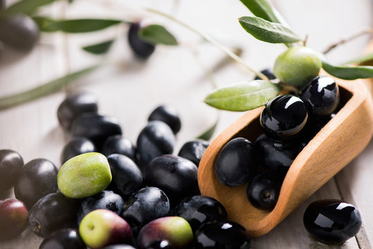Fresh Black Olives On An Olive Branch With Leaves
