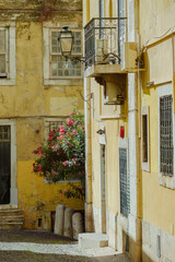 Fototapeta na wymiar Backstreet in Lisbon