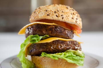 Hamburger in plate