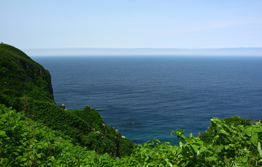 Fototapeta premium 雄大でのどかな天売島 丘から望む美しい海 緑映える夏の風景