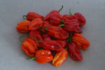 habanero,peppers