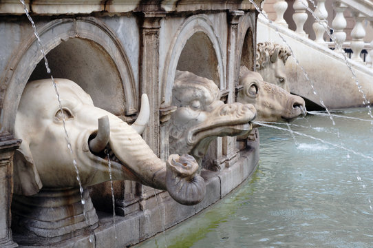 Animals detail of the monumental Pretorian Fountain (Fontana Pretoria, Fountain of Shame)  in Palermo, Sicily, Italy