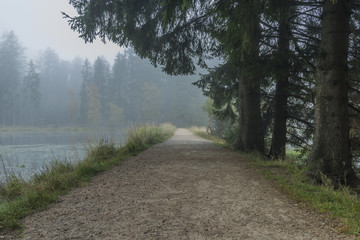 Obraz premium Morning fog and path near Bahnak ponds in Kladska village