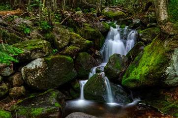 Small stream flows through the rocks, Hautes Gorges national park, Quebec, Canada